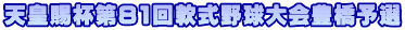 �V�c���t��81���싅���L���\�I